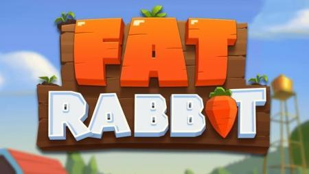 Fat Rabbit
