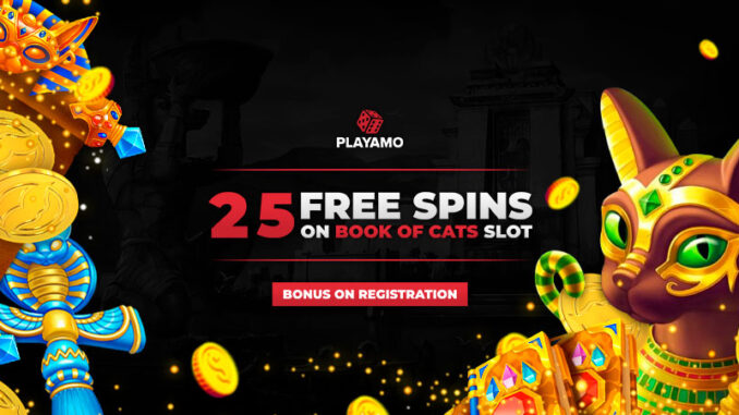 PlayAmo Casino No Deposit Bonus 2021