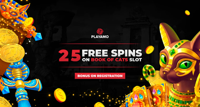 PlayAmo Casino No Deposit Bonus 2021
