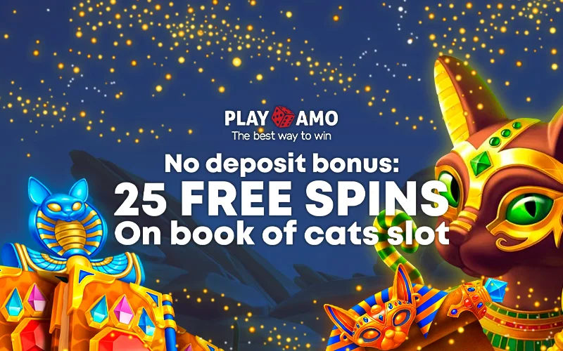 Description of the No Deposit Bonus at Playamo Casino as well as the image of a figurine in the shape of a cat