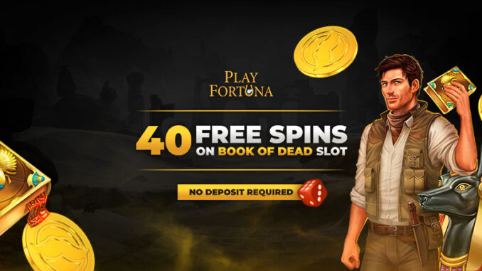 PlayFortuna Casino No Deposit Bonus 40 Free Spins