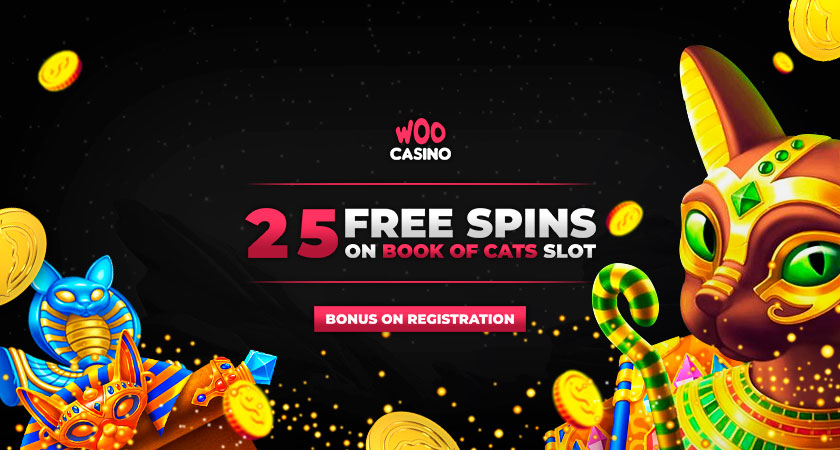 Free online casino with signup bonus телефон горячей линии на 1xbet