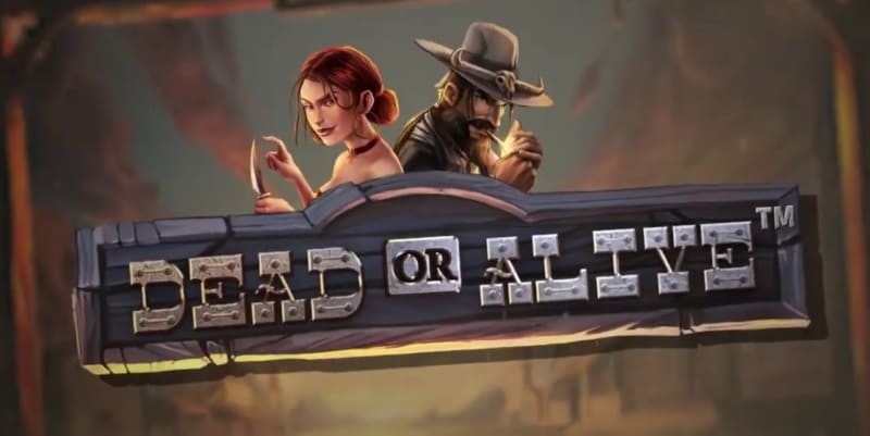 Dead or Alive 2 Slot