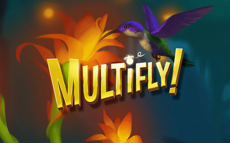 Multifly!