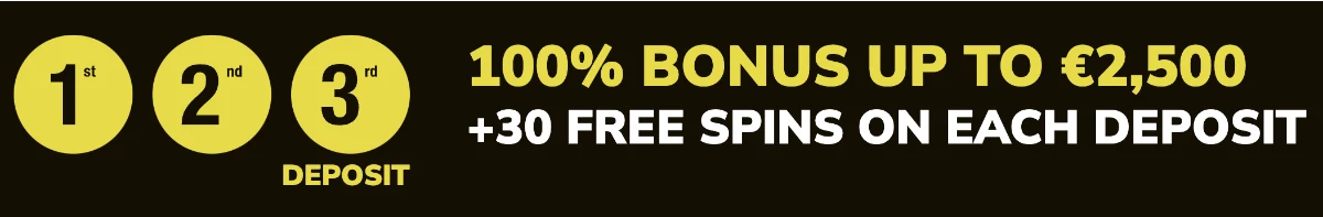 100% Bonus Up to 2500EUR + 30 Free Spins