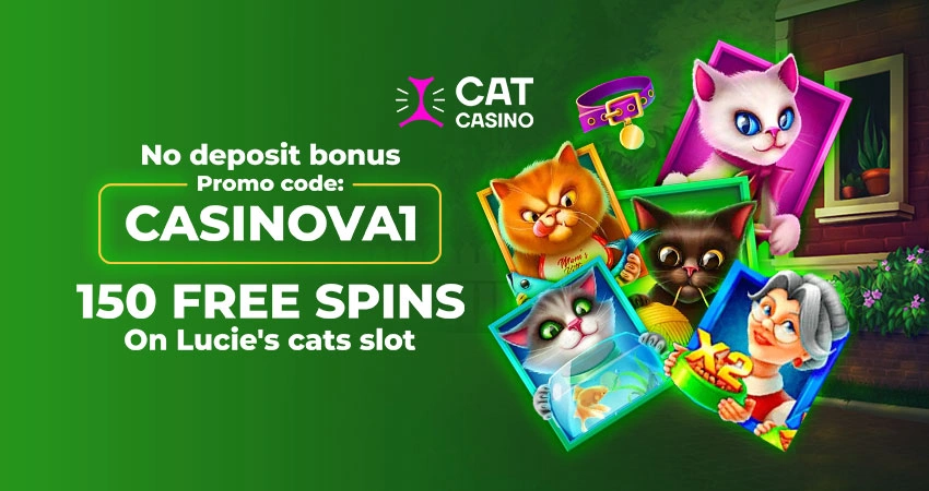 Cat Casino No Deposit Bonus