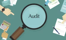 What does an auditor do in a casino?