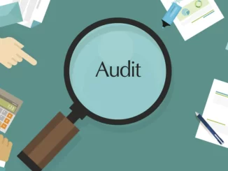 What does an auditor do in a casino?